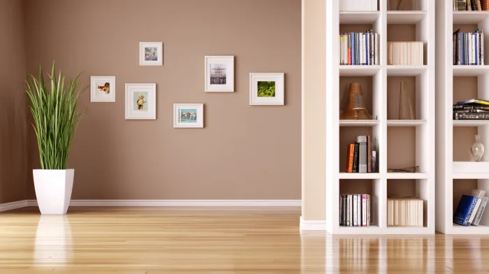 Bookshelves background